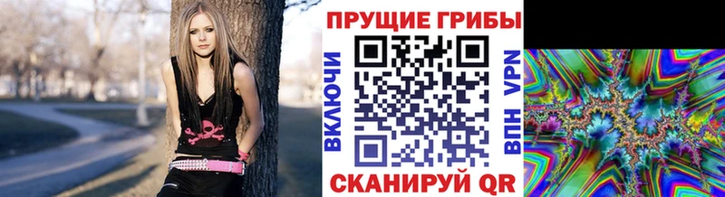 Псилоцибиновые грибы Cubensis  Ужур 